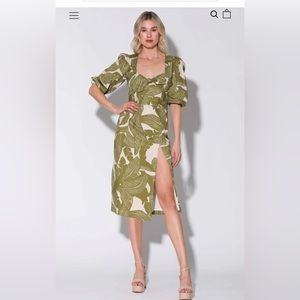 Walter Baker Juanita Dress Royal Palm Cotton Size 10 NWT